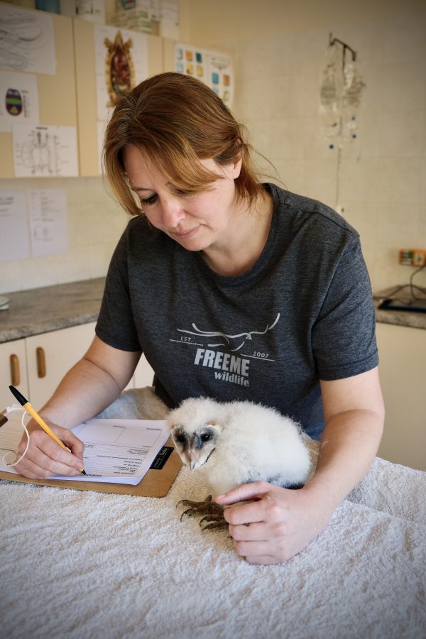 FreeMe Ladies T-Shirt