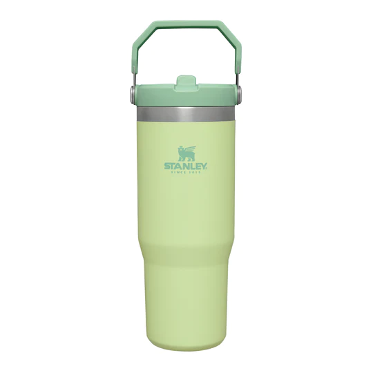 Stanley Classic Iceflow Flip Straw Tumbler | 0.89L - Dirt Road Outfitters