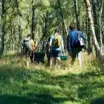 Stanley Adventure Cold For Days Outdoor Cooler